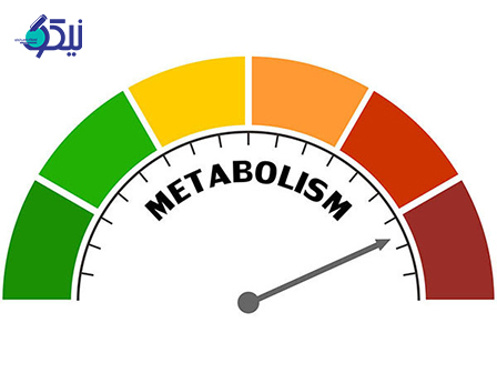 چگونه میتوان متابولیسم سالمی داشت؟