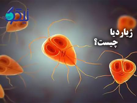 ژیاردیا چیست؟
