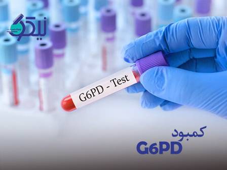 بیماری فاویسم (کمبود G6PD) ؛ چرا برخی افراد با خوردن باقلا دچار بحران میشوند؟