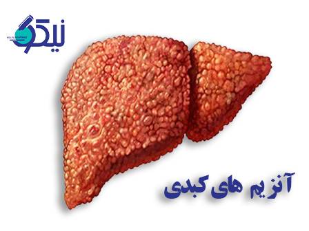 آنزیم‌های کبدی، زبان خاموش سلامت بدن