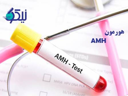 هورمون AMH، معیاری مهم برای ذخیره تخمدانی زنان