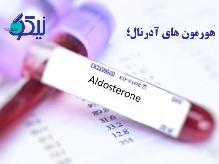 آزمایش هورمون‌های آدرنال؛ بررسی عملکرد غدد فوق کلیوی