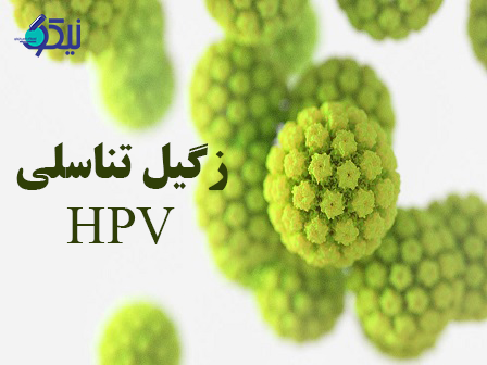 زگیل تناسلی یا HPV