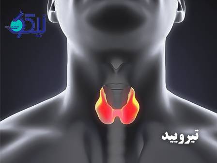 تشخیص زودهنگام اختلالات تیروئید؛ بررسی دقیق تست‌های  T3، T4  و TSH