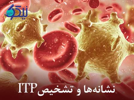 پلاکت‌های گمشده! بررسی نشانه‌ها و تشخیص ITP